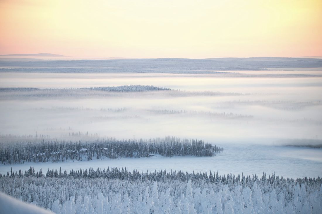 Lumiset metsät ja sumu ylhäältä kuvattuna talviaamuna.