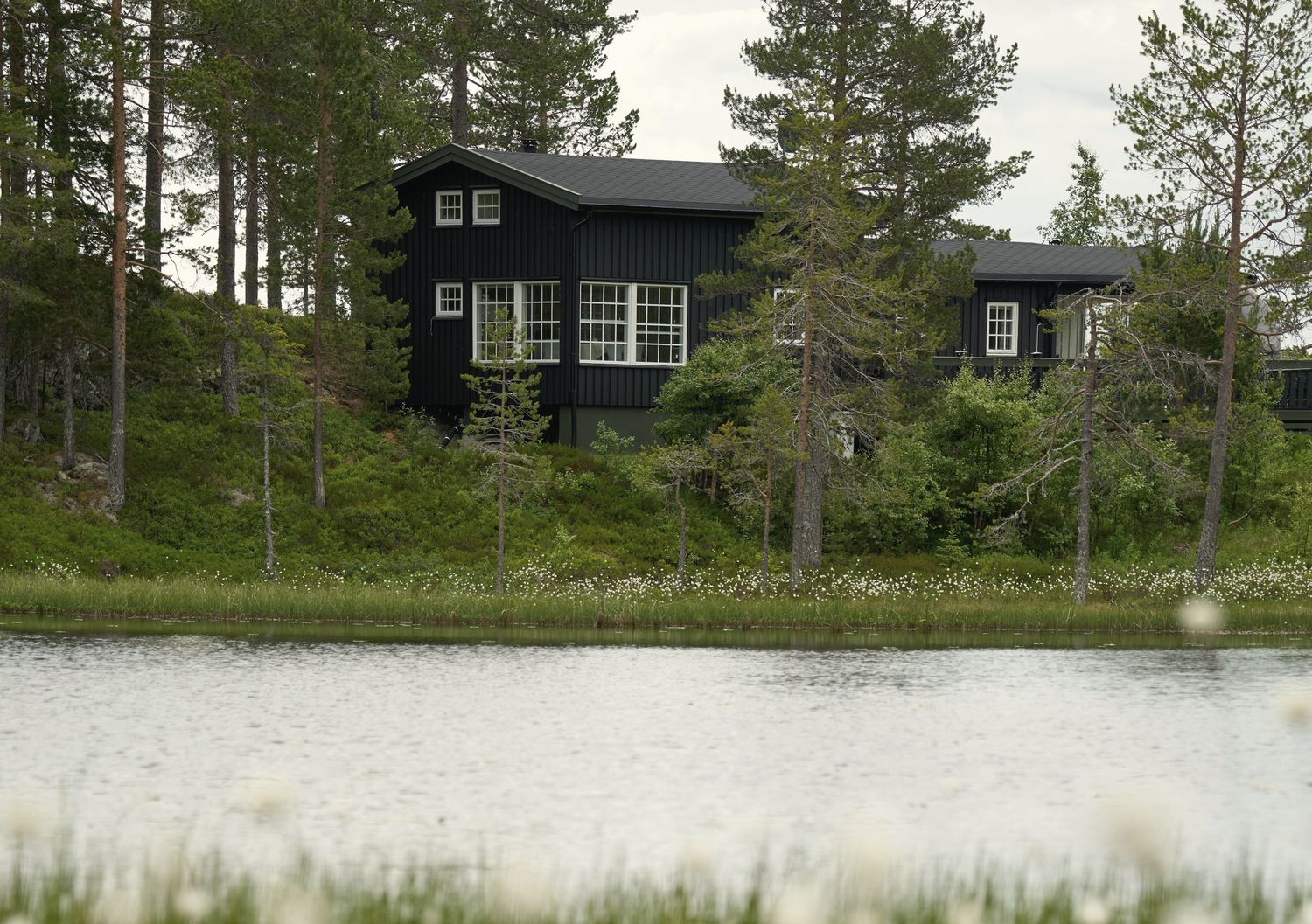 Musta puolitoistakerroksinen puutalo valkoisine ruutuikkunoineen männikössä pienen lammen rinteessä. Etualalla kukkii tupasvilla.