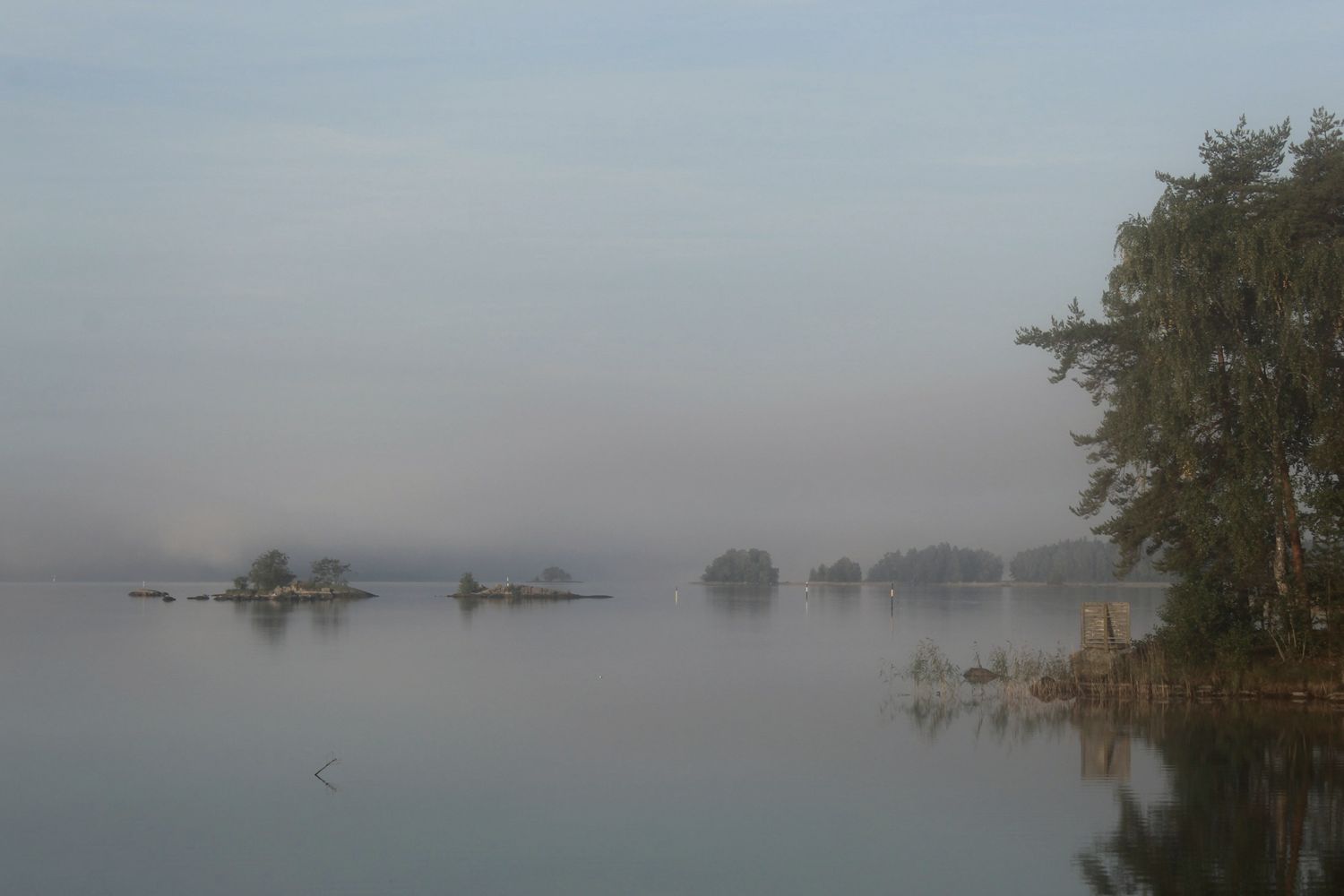 Tyyni, usvainen järvi aamulla. Oikealla rannassa kasvaa mäntyjä, kaukana näkyy pieniä saaria.