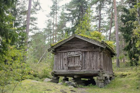 Vanha harmaa hirsiaitta kivijalan päällä metsässä.